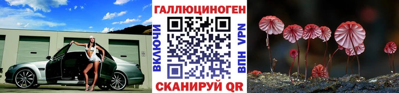 Купить закладки  Ногинск  Псилоцибиновые грибы Cubensis 